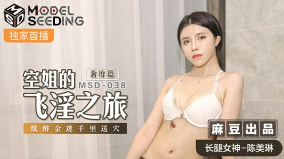 麻豆-空姐的飞淫之旅奢靡篇纸醉金迷千里送穴-陈美琳}