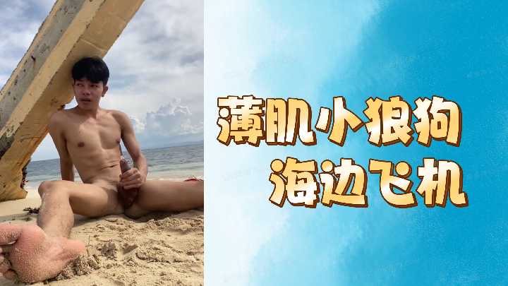 薄肌小狼狗海边飞机}
