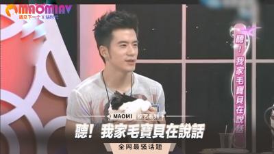 听！我家毛宝贝在说话.}