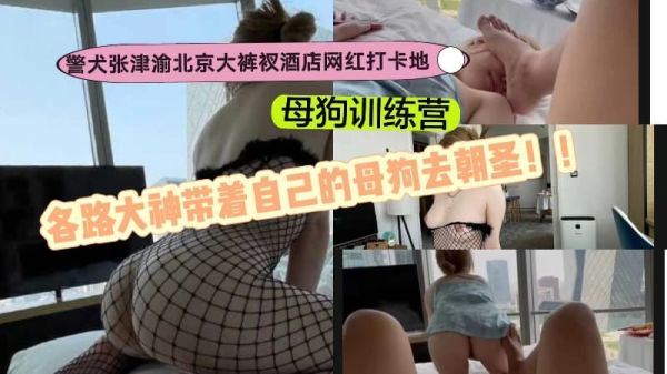 警犬张津渝北京大裤衩酒店网红打卡地母狗训练营各路大神带着自己的母狗去朝圣}